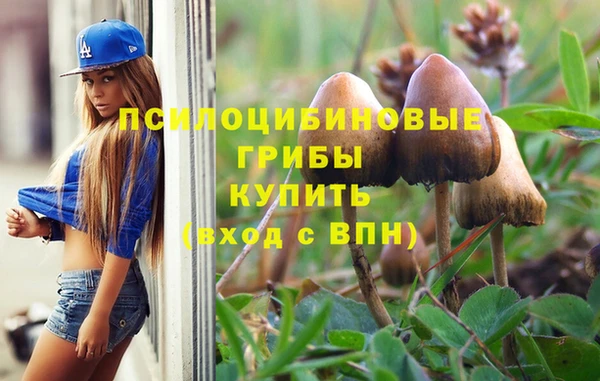 крисы Краснотурьинск
