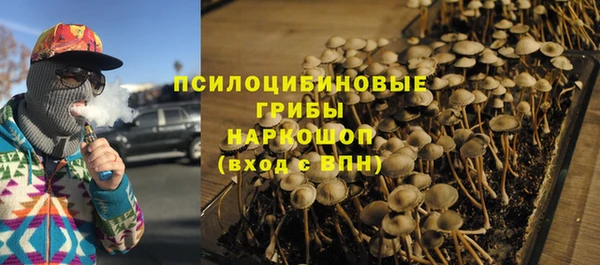 прущий лед Краснослободск