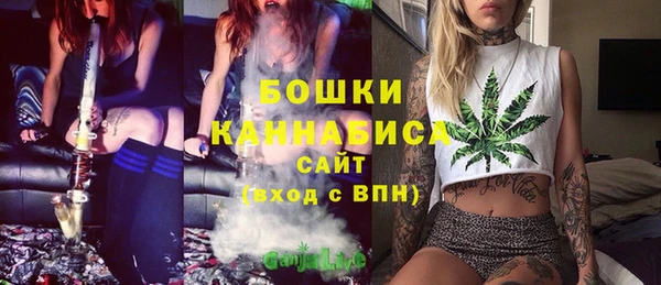 прущий лед Краснослободск
