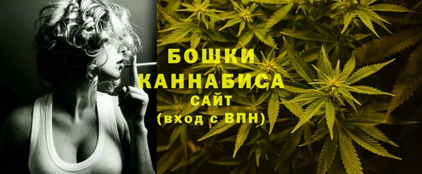 прущий лед Краснослободск