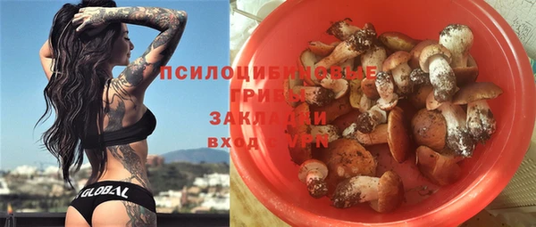 крисы Краснотурьинск