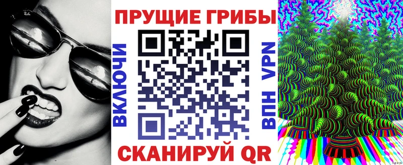 Купить Приморско-Ахтарск Псилоцибиновые грибы прущие грибы